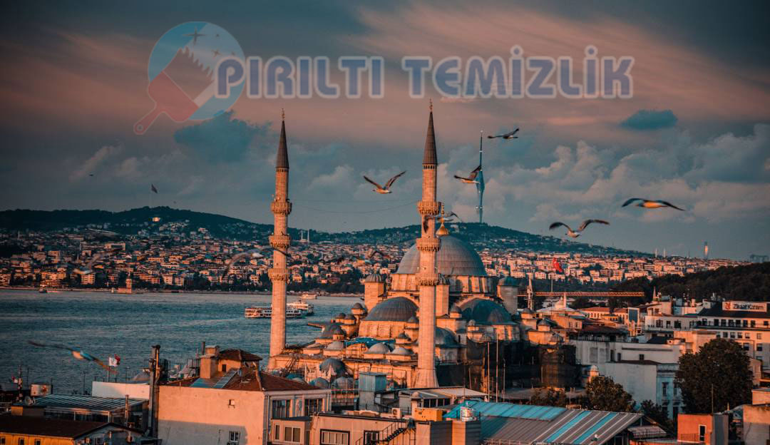 Yenibosna Koltuk Yıkama Hizmeti – Yerinde Profesyonel ve Hijyenik Temizlik